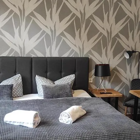 アパート Luxury Boutique Zedtwitz バート・エルスター