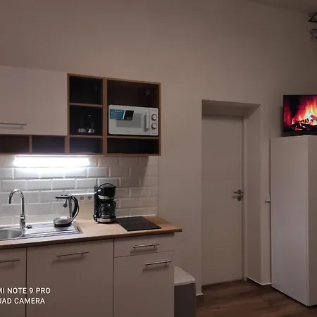 アパート Luxury Boutique Zedtwitz