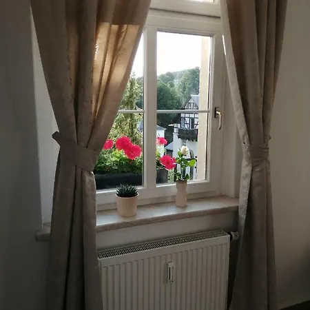 アパート Luxury Boutique Zedtwitz バート・エルスター